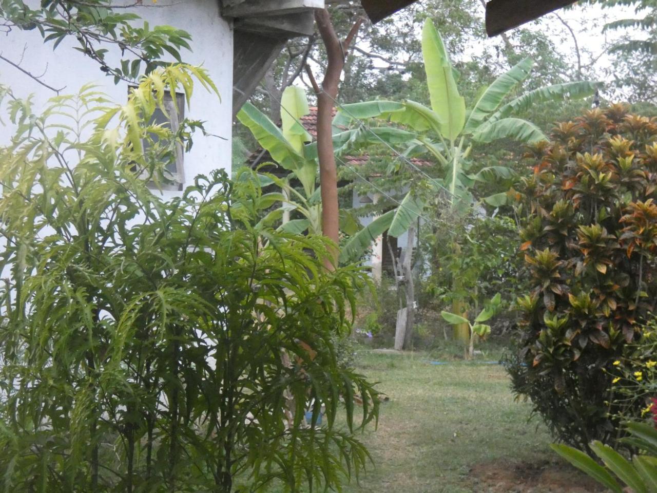 Sunshine Cafe Apartment Tangalle Luaran gambar