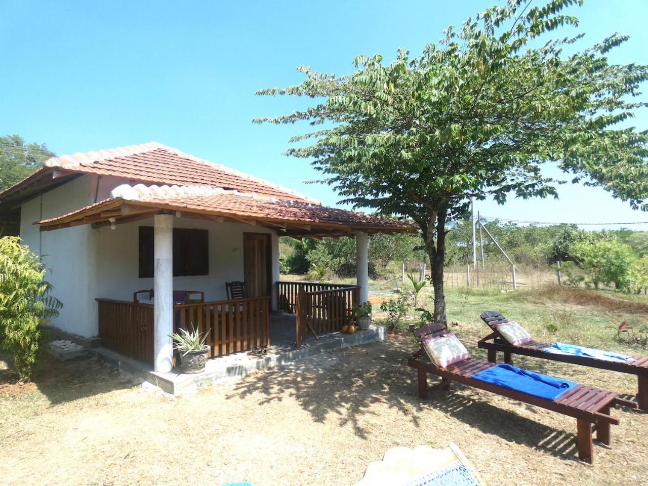 Sunshine Cafe Apartment Tangalle Luaran gambar